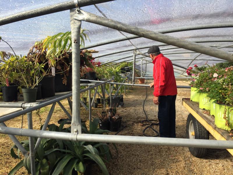 Collapsed greenhouseJPG